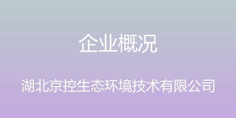 企业概况 - 湖北京控生态环境技术有限公司